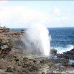 blowhole